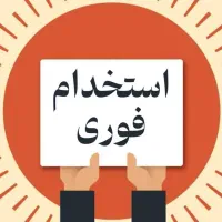 نیاز به فروشنده داخل اینستاگرام بدون نیاز به سابقه