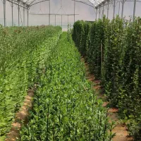 زمین مسکونی