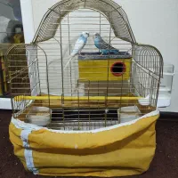 قفس با سایر لوازم پرنده