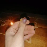 انواع هبهاب|کلکسیون اشیاء عتیقه|اهواز, گلدشت|دیوار