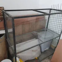 باکس قفسه و ویترین|فروشگاه و مغازه|رشت, باهنر|دیوار