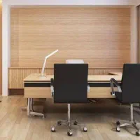 مهندس خانم مدیر پروژه