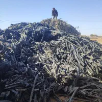 ضایعات نوار تیپ قطره ای