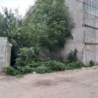 فروش زمین به مساحت ۱۷۲ متر فوری فوری به علت مهاجرت|فروش زمین و ملک کلنگی|ساری, |دیوار