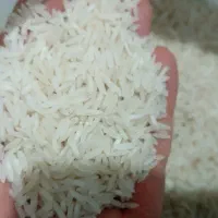 برنج طارم استخوانی عطری ارسال رایگان|خوردنی و آشامیدنی|تهران, شکیبا|دیوار