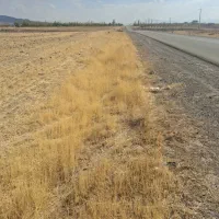 زمین کشاورزی مناسب برای ایجاد باغ