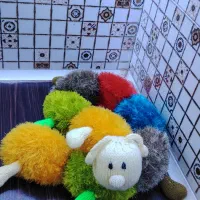 هزارپا|اسباب‌بازی بچه|نیشابور, دارایی|دیوار