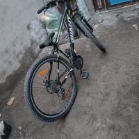 چرخ سوار|دوچرخه، اسکیت، اسکوتر|باسمنج, |دیوار