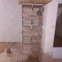 جفت کن چهار طبقه|لوازم جانبی حیوانات|قرچک, میرزائی شمالی|دیوار