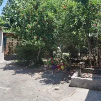 ویلایی حیاط دار باغی جنگلده
