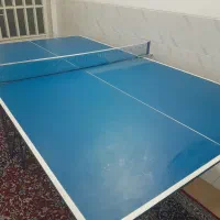 میز پینگ پنگ