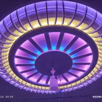 گچکاری ولکه گیری