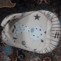 اغوشی سوئیسی نوزاد