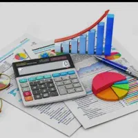 نیروی حسابداری