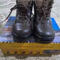 کفش ایمنی