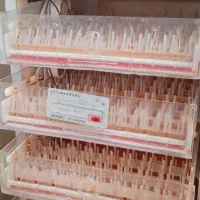 دستگاه جوجه کشی اتوماتیک ۲۵۰|لوازم جانبی حیوانات|گندمان, |دیوار