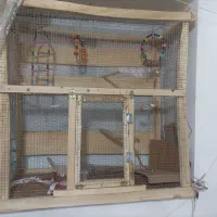 قفس دست‌ساز برای مرغ عشق و ...|لوازم جانبی حیوانات|آذرشهر, |دیوار