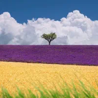 نیاز به همفکری برای کسب و کار بودجه ۱۰۰ میلیون