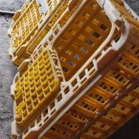 جعبهی حیوانات|لوازم جانبی حیوانات|زنجان, |دیوار