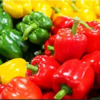 بسته بندی صیفیجات|استخدام خدمات فروشگاه و رستوران|یزد, |دیوار