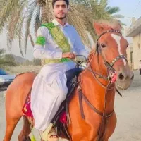 اسب مادیان|اسب و تجهیزات اسبسواری|قلعه گنج, |دیوار