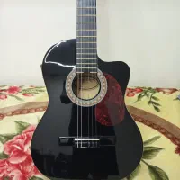 گیتار پیکاپ دار حرفه ای