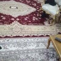 فرش دوازده متری