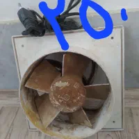 فن سالم 20در20