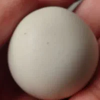 سنگ اصل آسیاب الماس|کلکسیون اشیاء عتیقه|تهران, جوانمردان (اندیشه)|دیوار