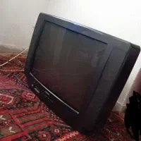 تلویزیون
