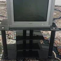 تلویزیون