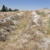زمین حفر شده با بیل مکانیکی آماده کاشت درخت انگور|فروش دفتر صنعتی، کشاورزی، تجاری|قروه, |دیوار