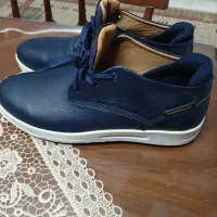 کفش مارک کاتر پیلار|کیف، کفش، کمربند|شاهرود, |دیوار