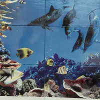 بنا و کارهای عمومی ساختمان