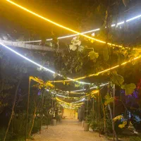 اجاره باغ|خدمات پذیرایی، مراسم|بردسیر, |دیوار