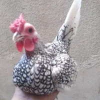 سبرایت گلد سیلور