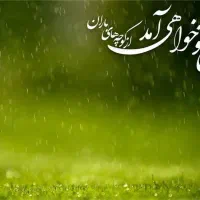 زمین کوپن بچه بازار