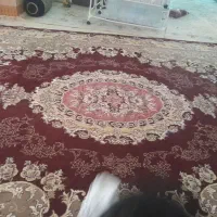 فرش زرشکی|فرش|یاسوج, |دیوار
