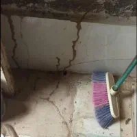 موریانه زدایی وسمپاشی تضمینی