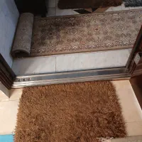 پادری شگی