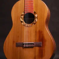 گیتار Doris|گیتار، بیس، امپلیفایر|اصفهان, باغ زرشک|دیوار