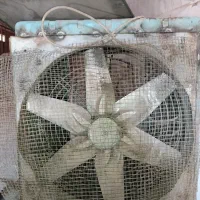 فن بزرگ و کولر ابی|کولر آبی|شوشتر, |دیوار