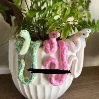 اکسسوری گلدون مار