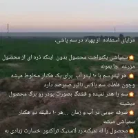 پهپاد سم پاشی کشاورزی، منصور اسماعیلی پور