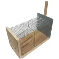 تله موش