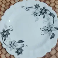 فروش سه دست آرکوپال نوداخل کارتن