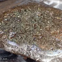 شهاب سنگ واقعه ای سیاره مریخ|جواهرات|خمینی‌شهر, |دیوار