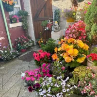 خدمات باغ سم پاشی علفزنی هرس