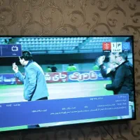 انواع ال ای دی استوک