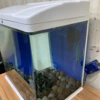 آکواریوم|ماهی|خرم‌آباد, |دیوار